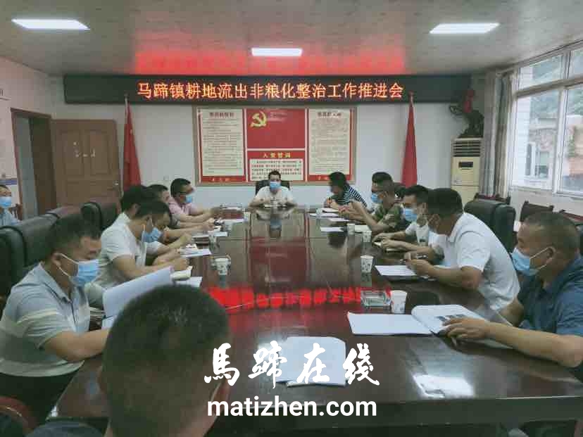 马蹄镇召开耕地流出非粮化整治工作推进会缩略图