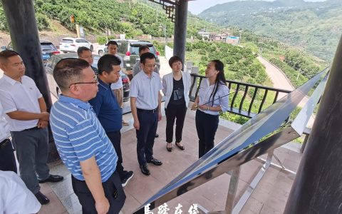 李堂兵调研马蹄镇产业振兴工作缩略图