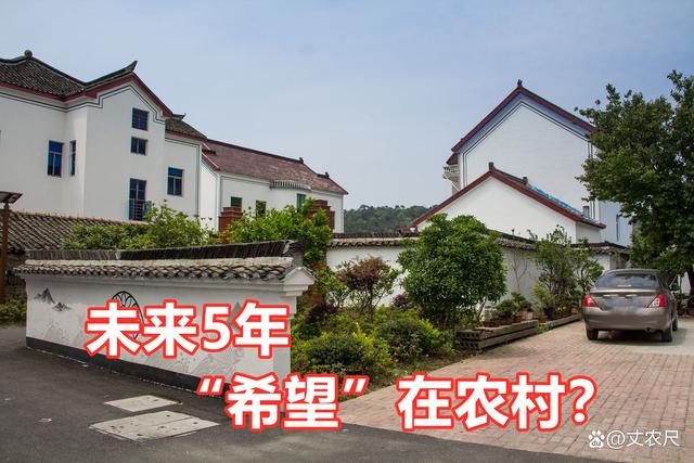 未来5年，农村再成“聚财盆”，催生新一批农民老板缩略图