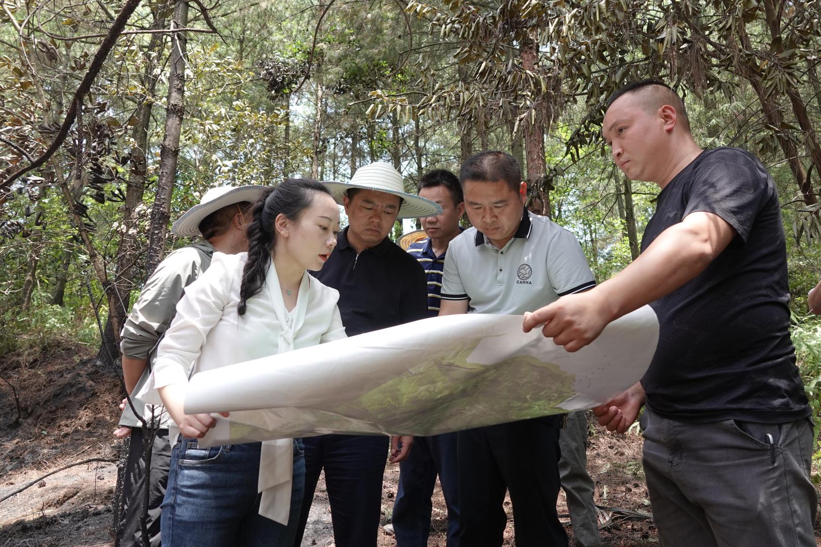赵源华前往龙山镇、观文镇、马嘶苗族乡、马蹄镇、双沙镇暗访督导缩略图